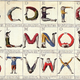 Image for article titled You've never seen the ABCs look this bizarre and wonderful